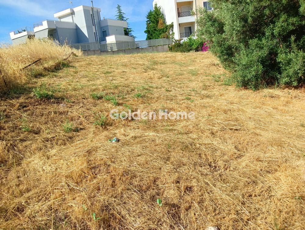 Οικόπεδο στην Νεάπολη, Σπάτα — Φωτογραφία 5 από 6