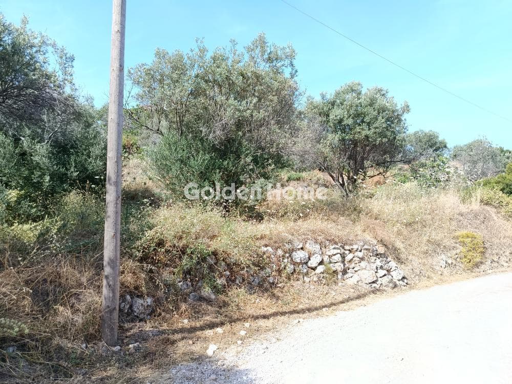Οικόπεδο στην Προφήτης Ηλίας, Αίγινα — Φωτογραφία 3 από 6