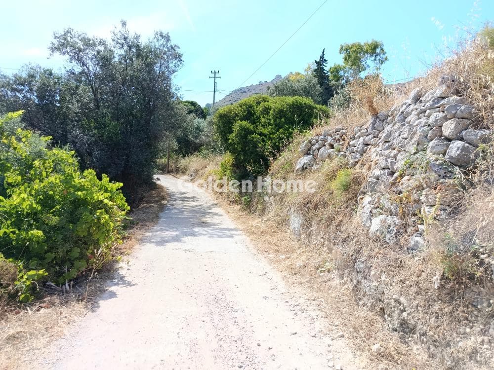 Οικόπεδο στην Προφήτης Ηλίας, Αίγινα — Φωτογραφία 4 από 6