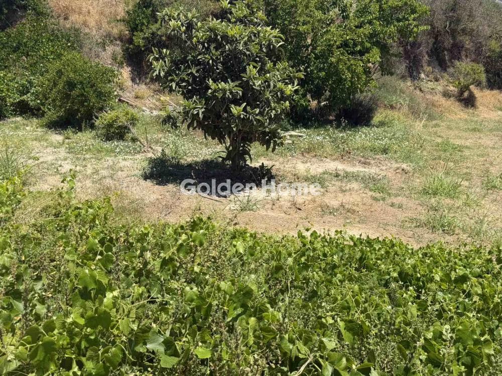 Building Plot in Skalani, Episkopi — Photo 2 of 9