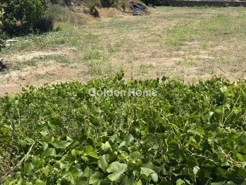 Building Plot in Skalani, Episkopi — Photo 4 of 9