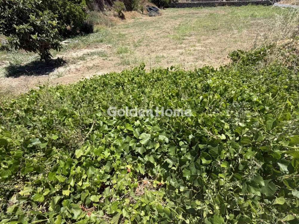 Building Plot in Skalani, Episkopi — Photo 5 of 9