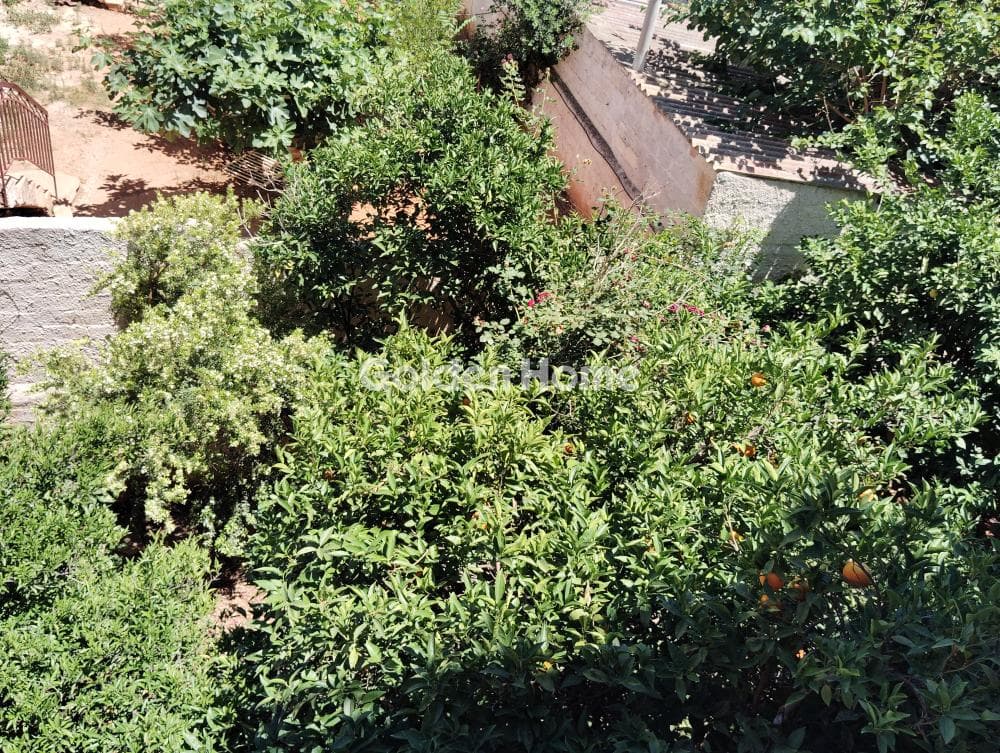 Διαμέρισμα στην Κέντρο, Αργυρούπολη — Φωτογραφία 22 από 22