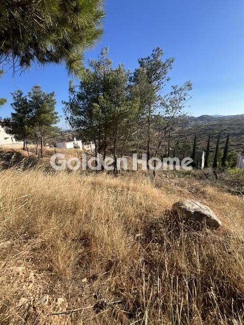 Οικόπεδο στην Διώνη, Πικέρμι — Φωτογραφία 2 από 3