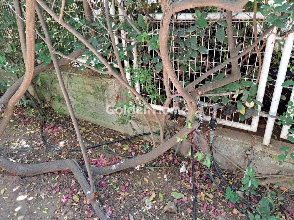 Μονοκατοικία στην Πηγαδάκια, Βούλα — Φωτογραφία 31 από 47
