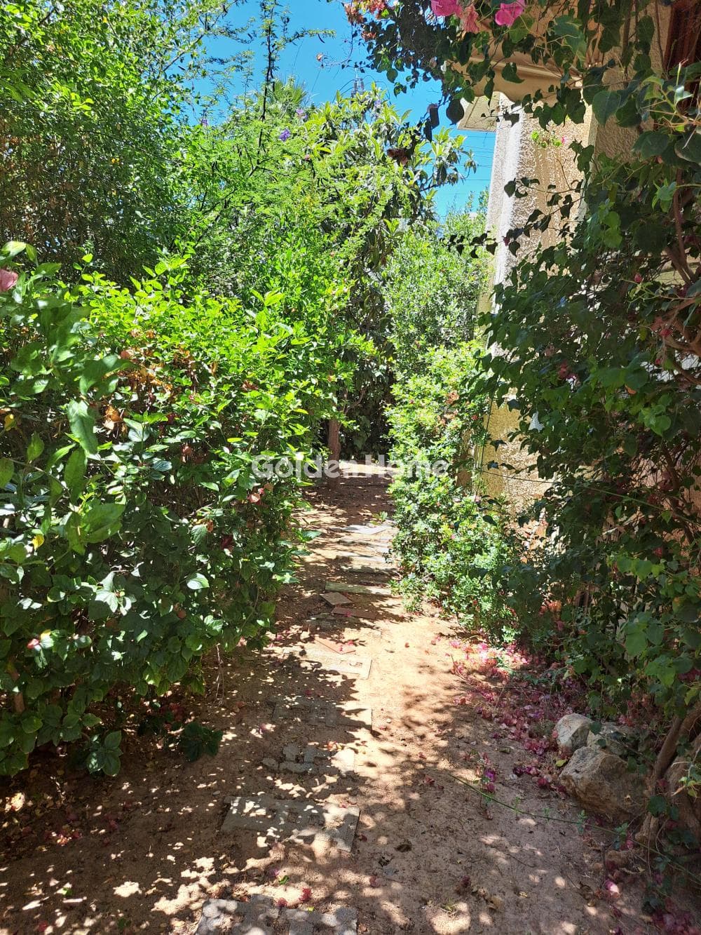 Μονοκατοικία στην Πηγαδάκια, Βούλα — Φωτογραφία 40 από 47
