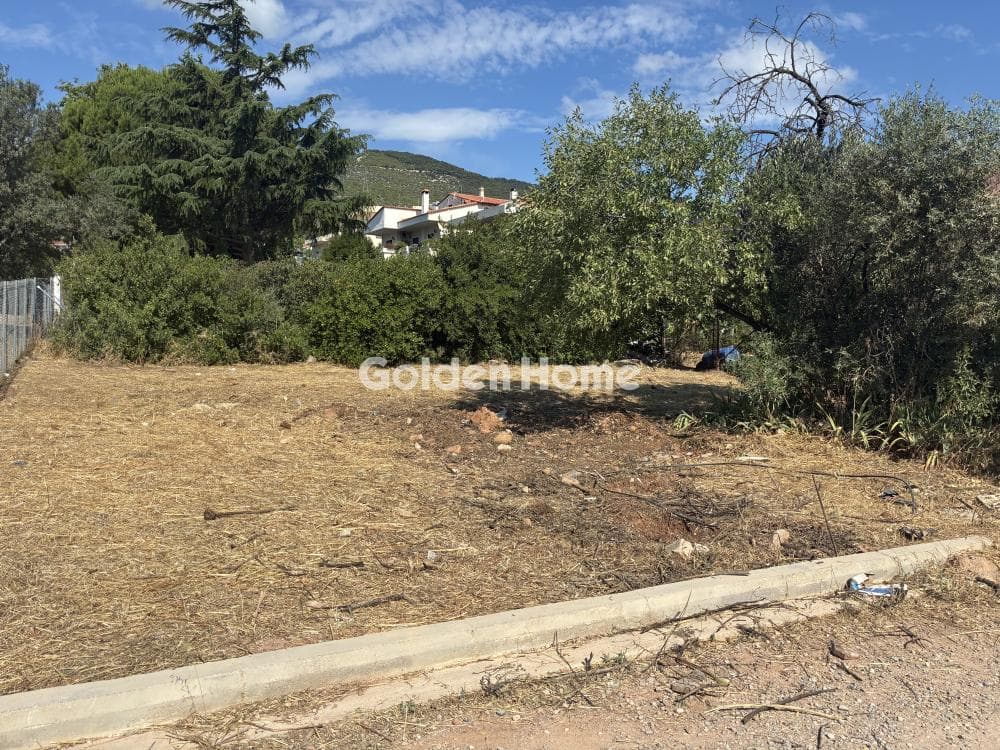 Οικόπεδο στην Κέντρο, Γλυκά Νερά — Φωτογραφία 1 από 4