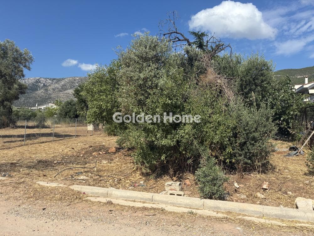 Οικόπεδο στην Κέντρο, Γλυκά Νερά — Φωτογραφία 2 από 4