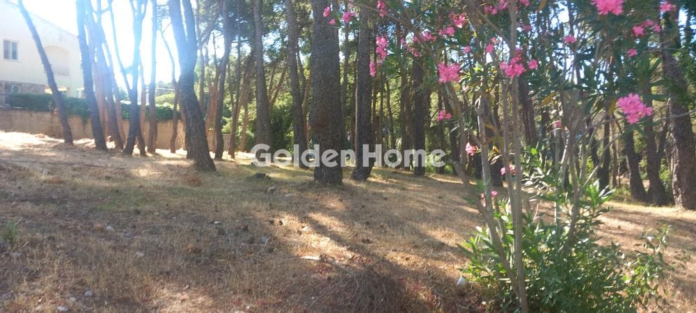 Οικόπεδο στην Αδάμες (Οικισμός Πελοποννησίων), Κηφισιά — Φωτογραφία 9 από 9