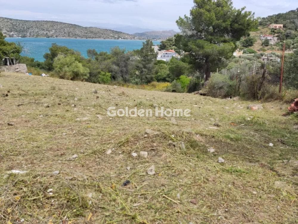 Building Plot in Kseno, Salamina — Photo 3 of 11