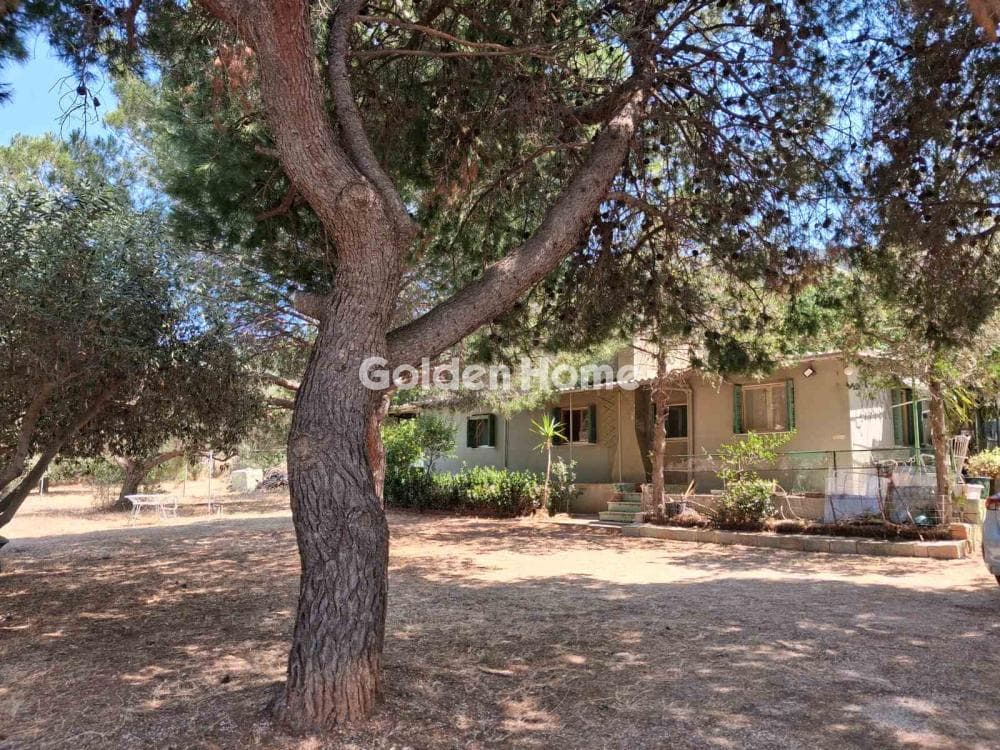 Parcel in Limni Markopoulou, Markopoulo — Photo 4 of 6