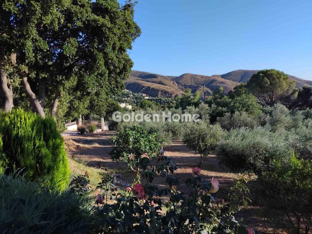 House in Skioessa, Patra — Photo 14 of 14