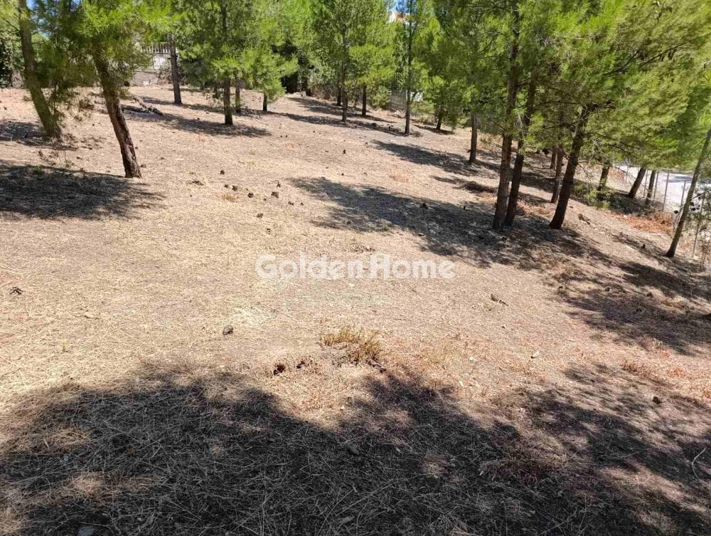Building Plot in Kallithea, Penteli — Photo 5 of 7