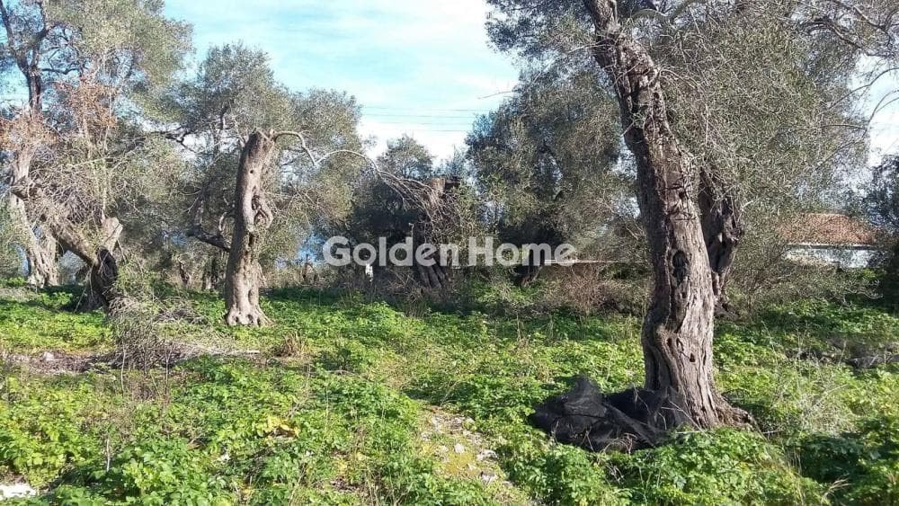 Οικόπεδο στην Μακράτικα, Παξοί — Φωτογραφία 2 από 4