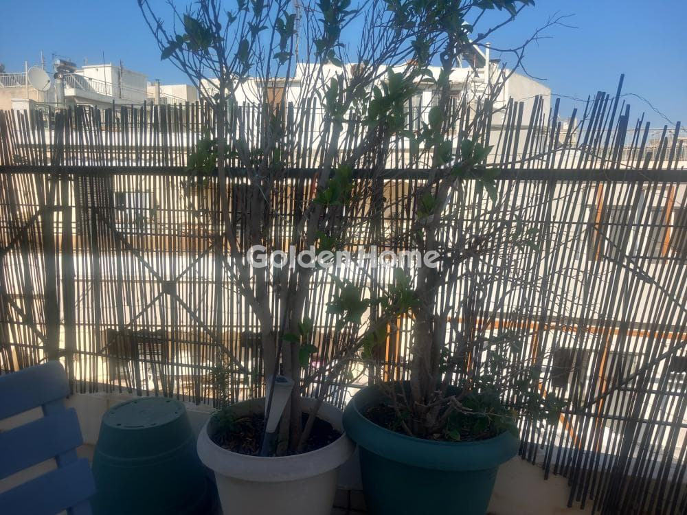 Διαμέρισμα στην Σεπόλια, Σεπόλια - Σκουζέ — Φωτογραφία 11 από 13