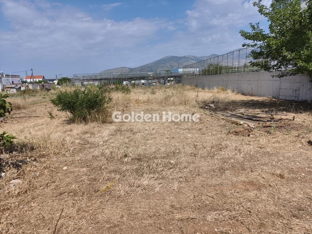 Αγροτεμάχιο στην Μεγάλα Σχοινία Α, Αχαρνές — Φωτογραφία 2 από 8