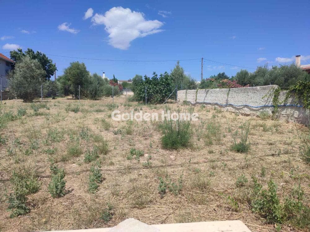 Building Plot in Agios Nikolaos, Rafina — Photo 2 of 6