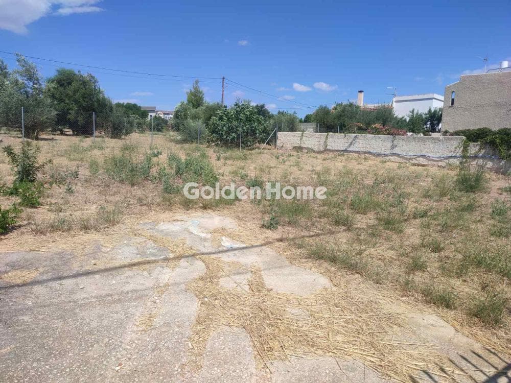 Building Plot in Agios Nikolaos, Rafina — Photo 6 of 6
