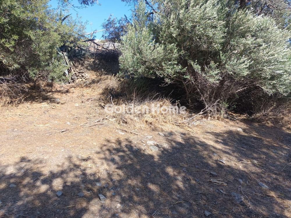 Οικόπεδο στην Σύρος, Σύρος — Φωτογραφία 7 από 8