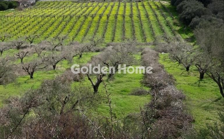 Building Plot in Gournes, Temenos