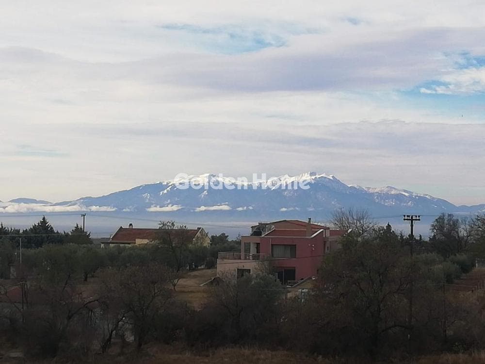 House in Trilofo, Mikra — Photo 10 of 17