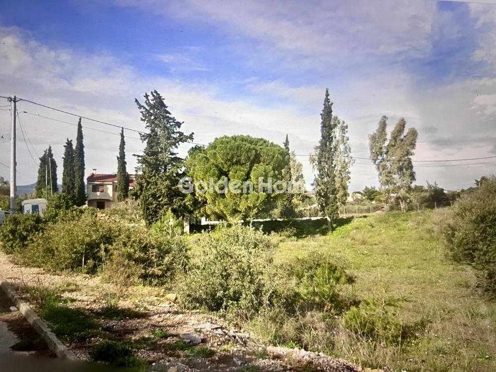 Οικόπεδο στην Κάτω Χαρβάτι, Παλλήνη — Φωτογραφία 2 από 3