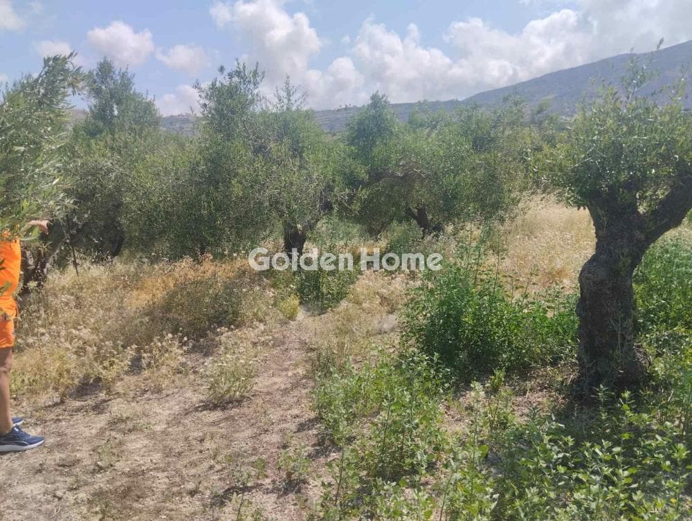 Αγροτεμάχιο στην Άγιος Σύλλας, Αρχάνες — Φωτογραφία 9 από 11