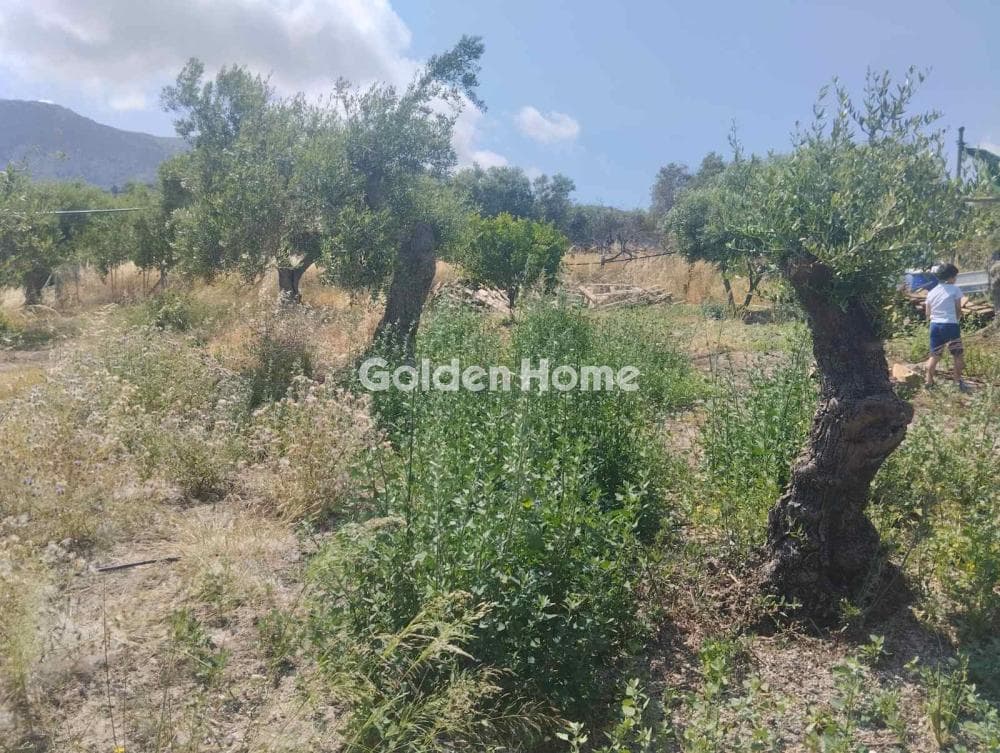 Αγροτεμάχιο στην Άγιος Σύλλας, Αρχάνες — Φωτογραφία 10 από 11