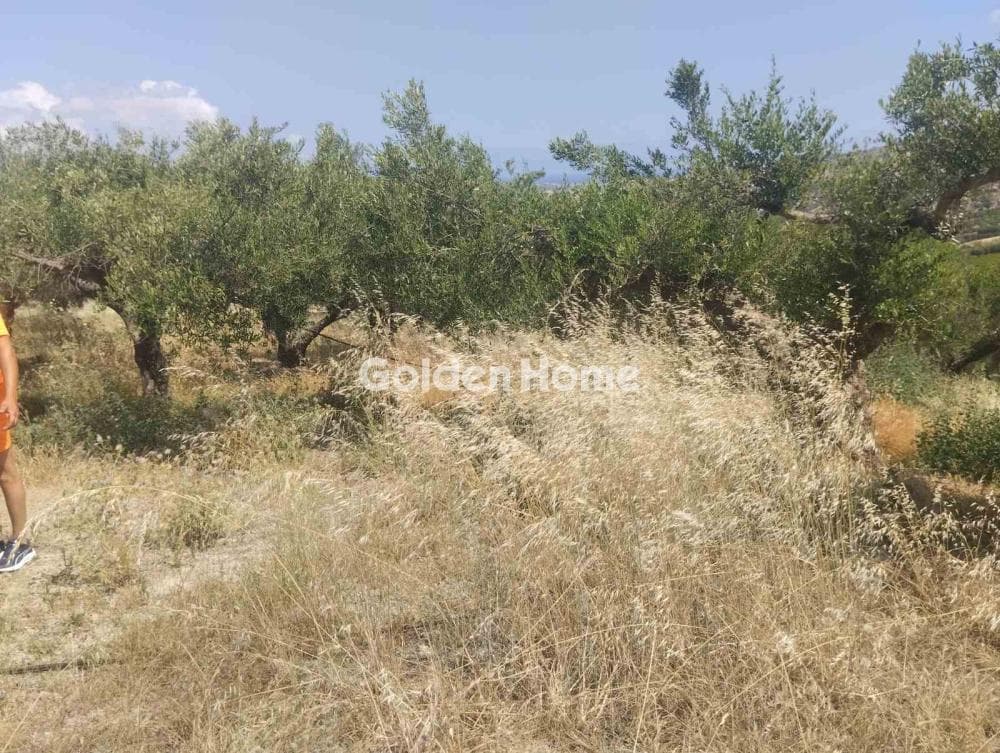 Αγροτεμάχιο στην Άγιος Σύλλας, Αρχάνες — Φωτογραφία 7 από 11