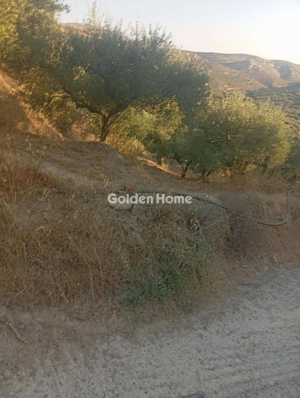Parcel in Galipe, Episkopi — Photo 2 of 2