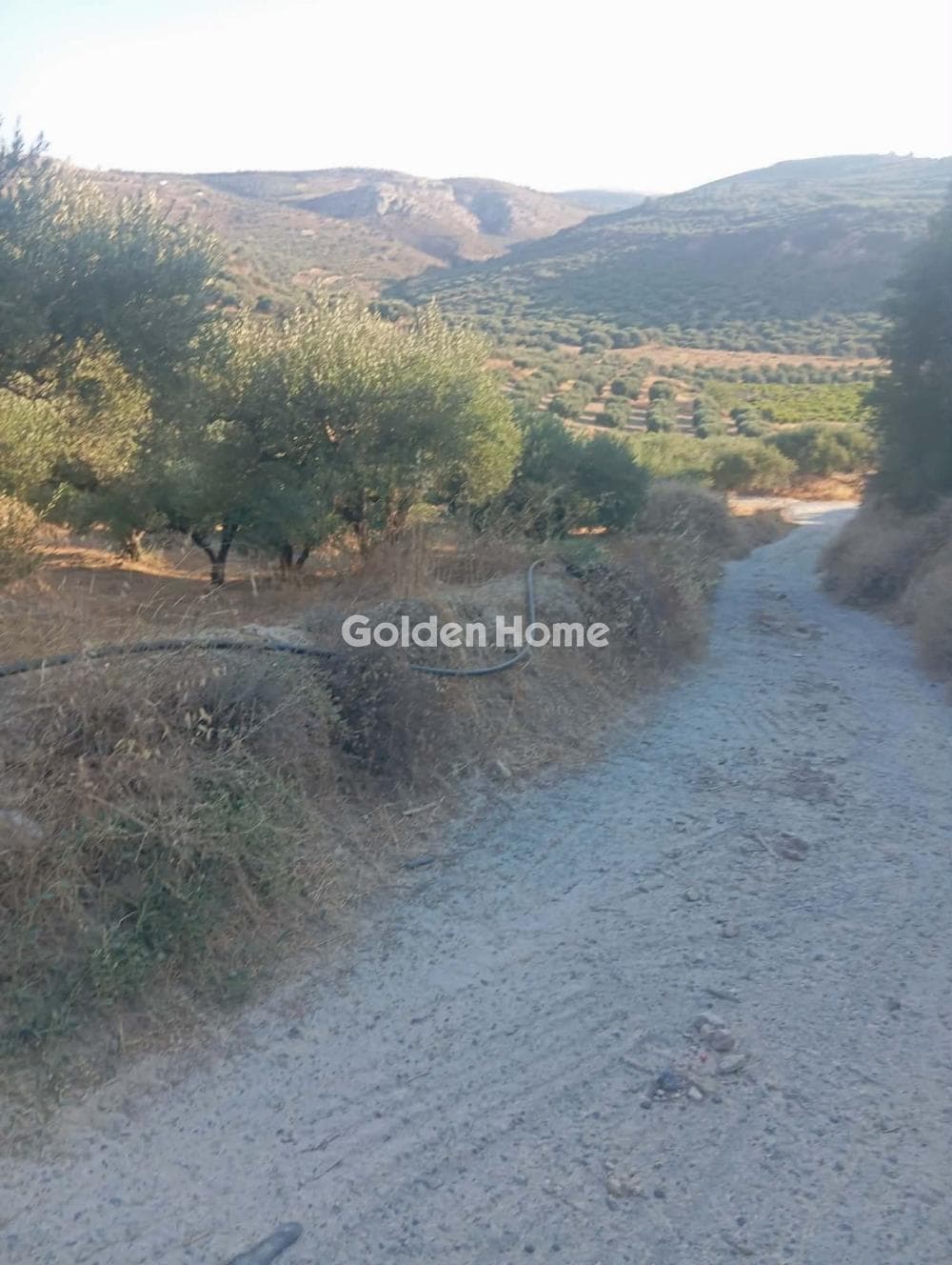 Parcel in Galipe, Episkopi — Photo 1 of 2