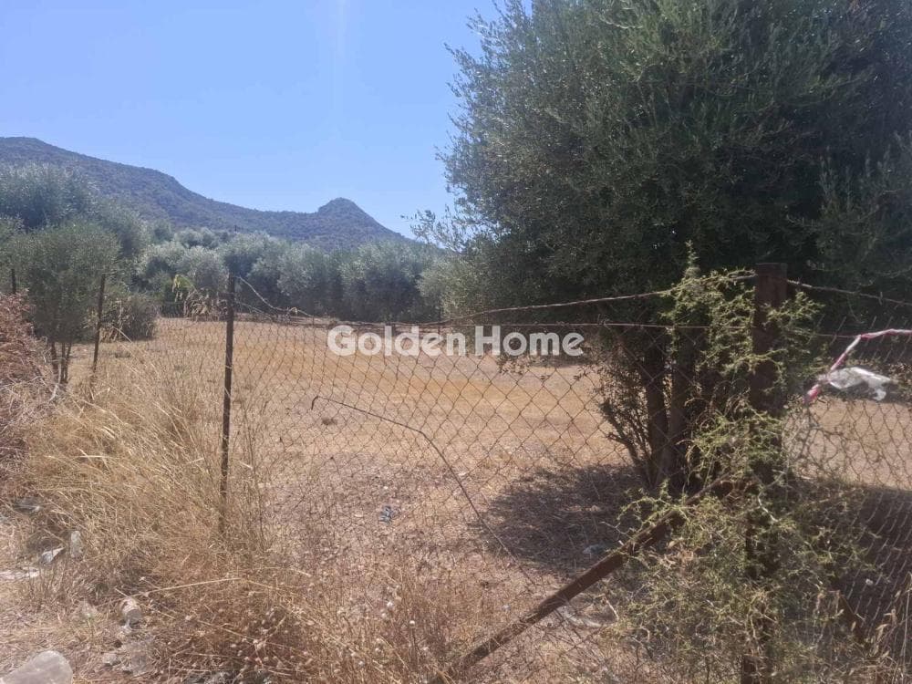 Building Plot in Megalo Ntoroto, Salamina — Photo 2 of 3