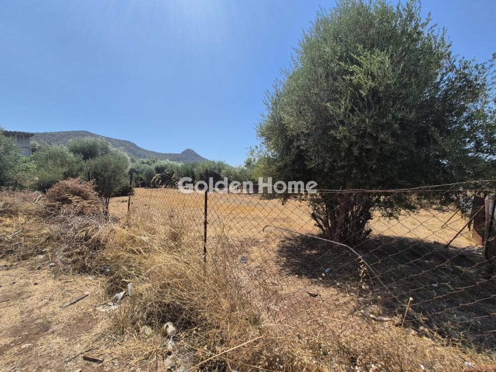 Building Plot in Megalo Ntoroto, Salamina — Photo 3 of 3