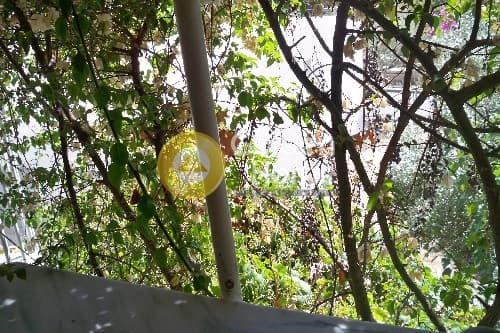 Μονοκατοικία στην Αγία Βαρβάρα, Άγιος Δημήτριος — Φωτογραφία 1 από 6