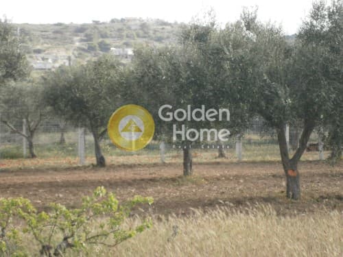 Building Plot in Ari, Anavissos — Photo 4 of 8