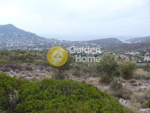 Αγροτεμάχιο στην Λαμπρικά, Κορωπί — Φωτογραφία 9 από 9