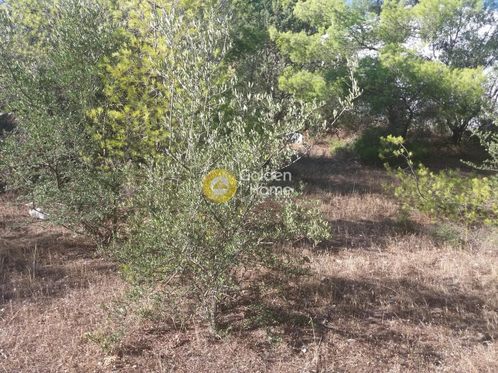 Οικόπεδο στην Μαύρο Λιθάρι, Σαρωνίδα — Φωτογραφία 2 από 8