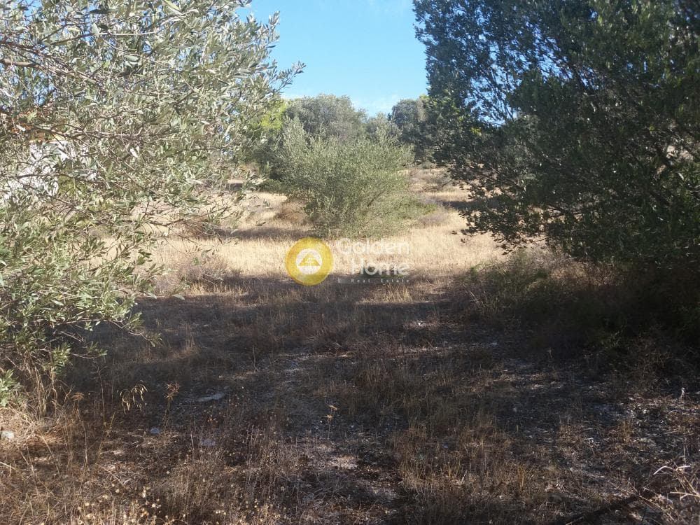 Οικόπεδο στην Μαύρο Λιθάρι, Σαρωνίδα — Φωτογραφία 6 από 8