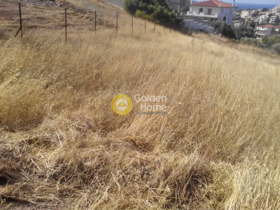 Building Plot in Agios Nikolaos, Anavissos — Photo 4 of 6