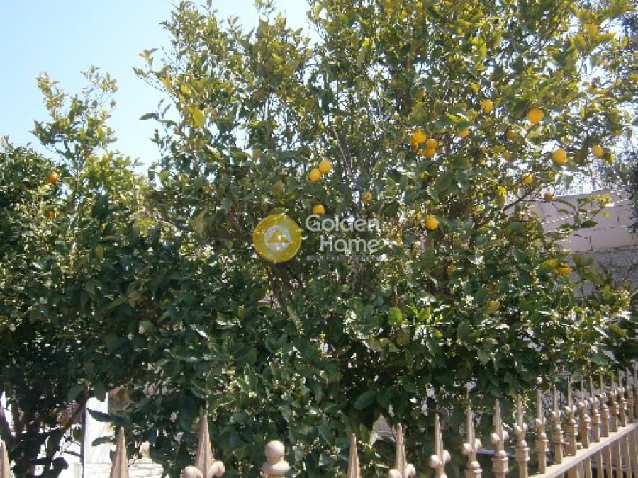 Building Plot in Galazia akti, Kalivia Thorikou — Photo 6 of 15