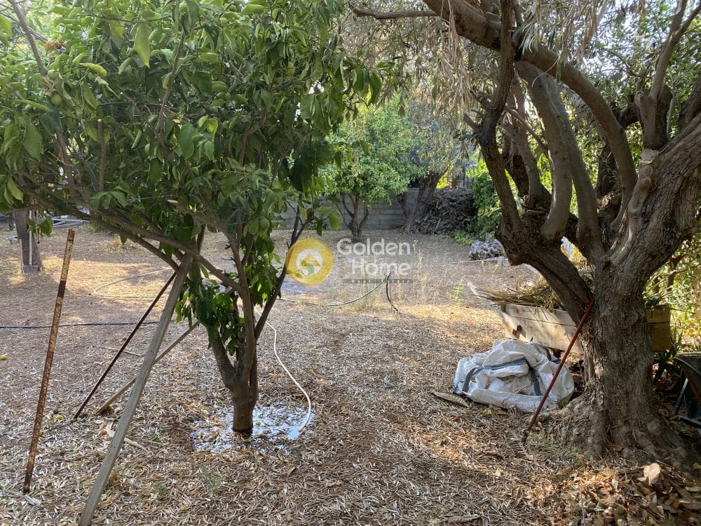 Building Plot in Galazia akti, Kalivia Thorikou — Photo 9 of 15