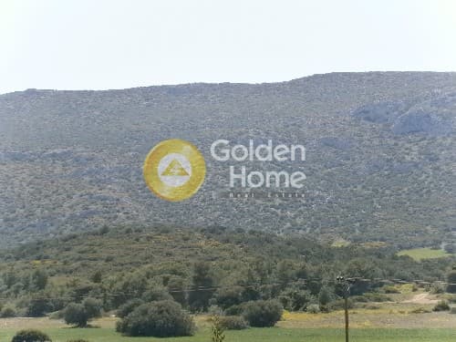 Building Plot in Lamprika, Koropi — Photo 2 of 9