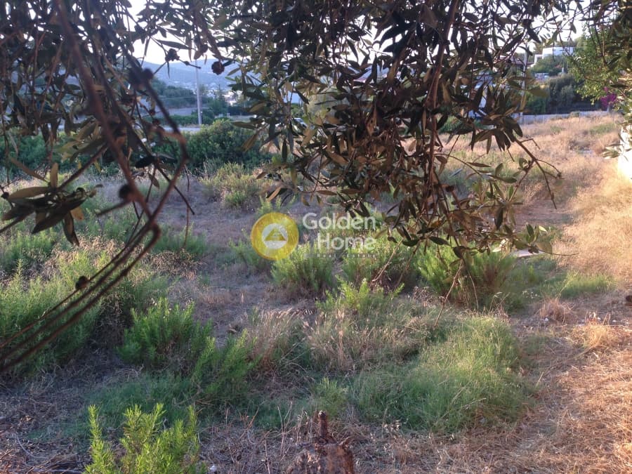 Building Plot in Kalivia, Kalivia Thorikou — Photo 1 of 5