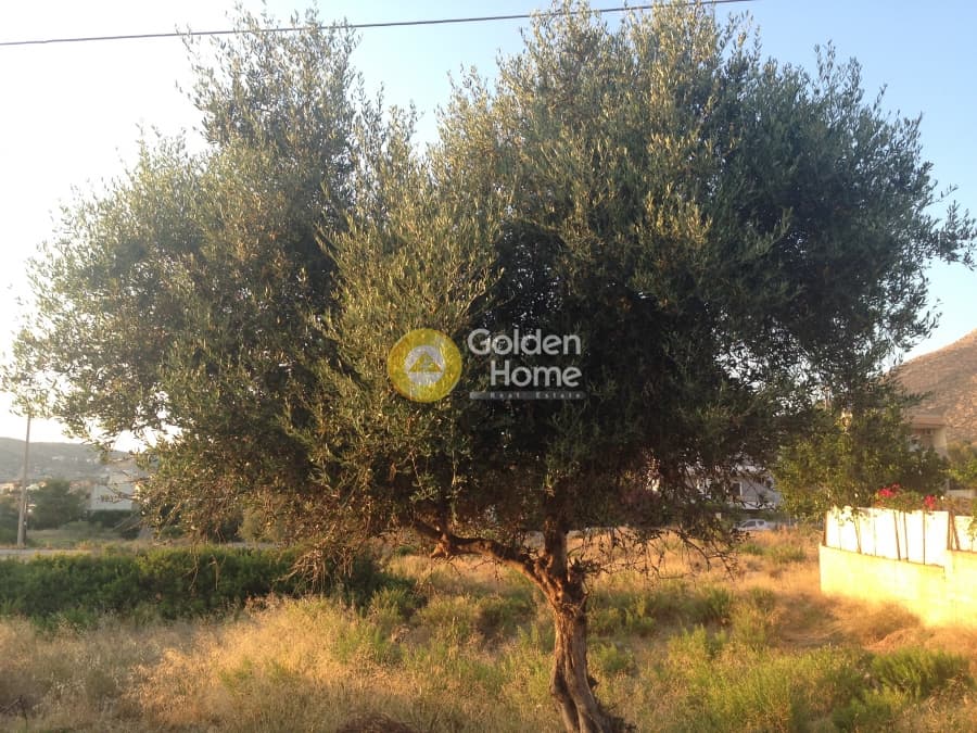 Building Plot in Kalivia, Kalivia Thorikou — Photo 2 of 5