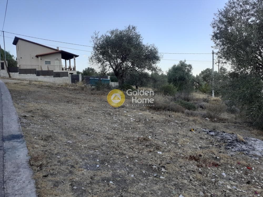 Αγροτεμάχιο στην Αγία Τριάδα, Παιανία — Φωτογραφία 3 από 5
