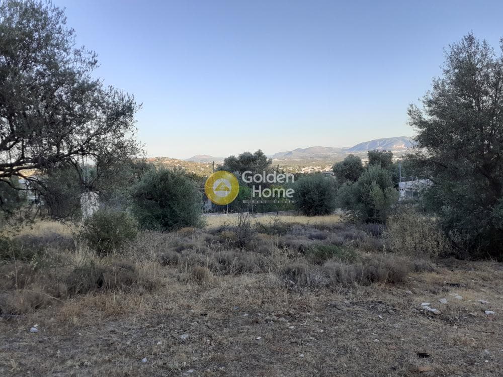 Αγροτεμάχιο στην Αγία Τριάδα, Παιανία — Φωτογραφία 4 από 5