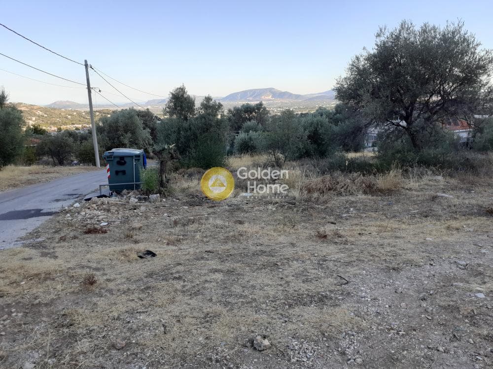 Αγροτεμάχιο στην Αγία Τριάδα, Παιανία — Φωτογραφία 2 από 5