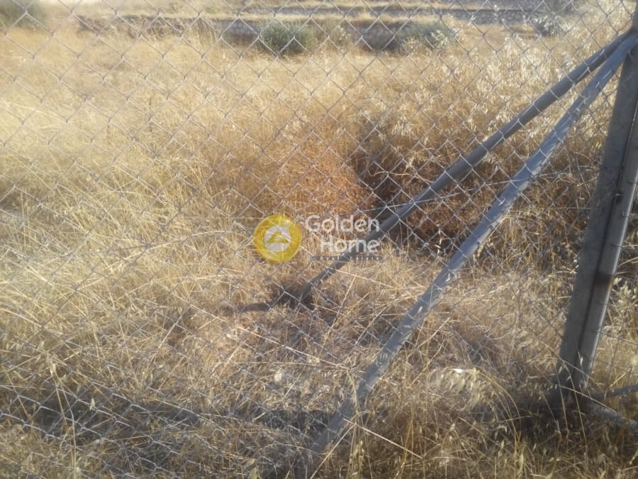 Building Plot in Kalivia, Kalivia Thorikou — Photo 2 of 6