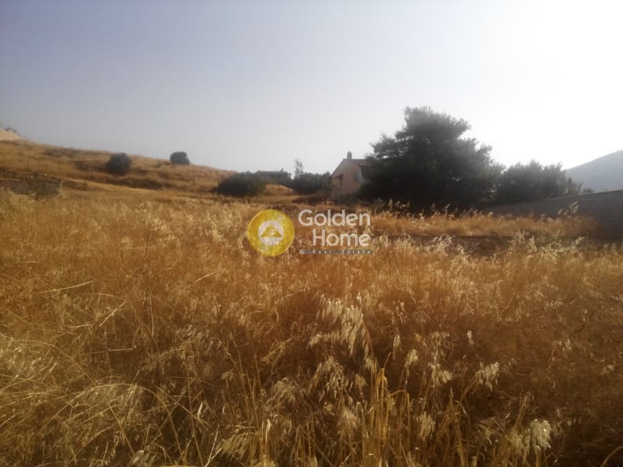 Building Plot in Kalivia, Kalivia Thorikou — Photo 4 of 6