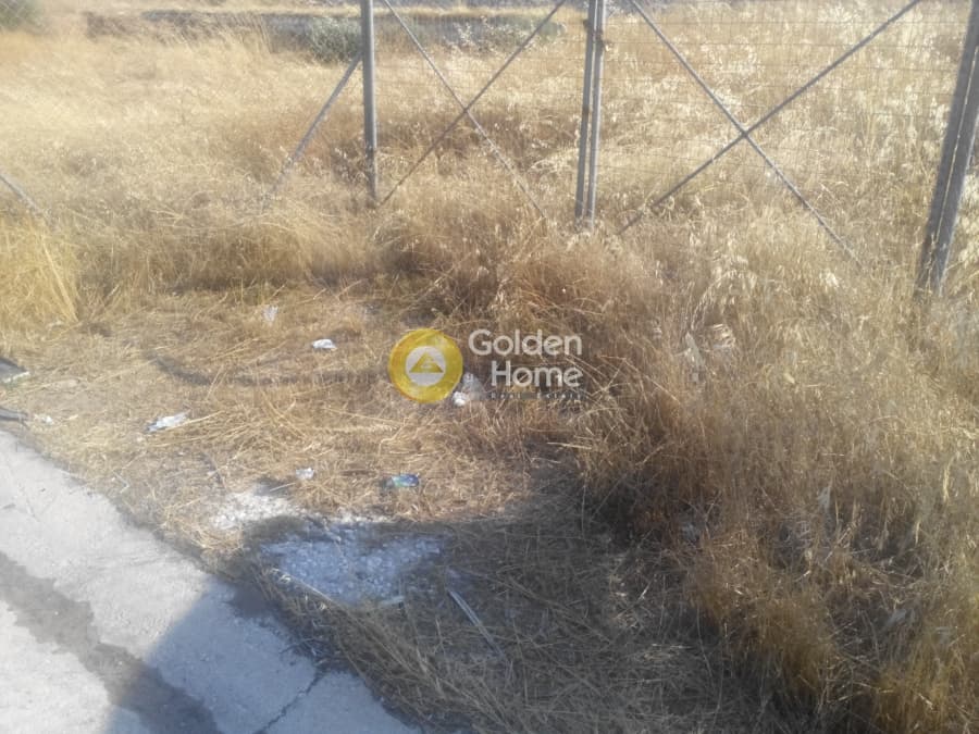 Building Plot in Kalivia, Kalivia Thorikou — Photo 6 of 6